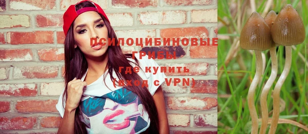 винт Аркадак