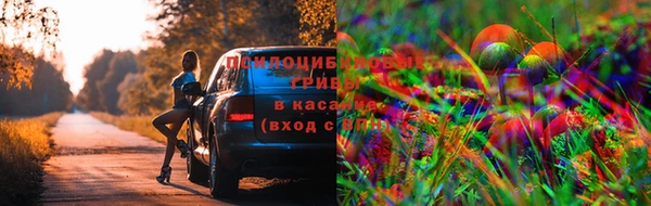 сатива Покровск