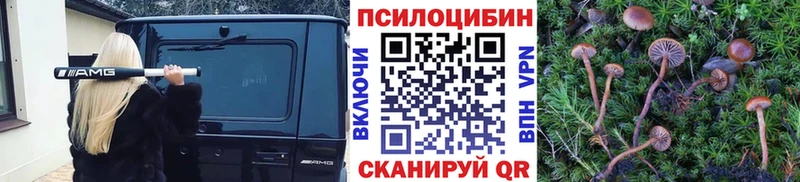 мориарти наркотические препараты Менделеевск Галлюциногенные грибы Cubensis мега ссылки